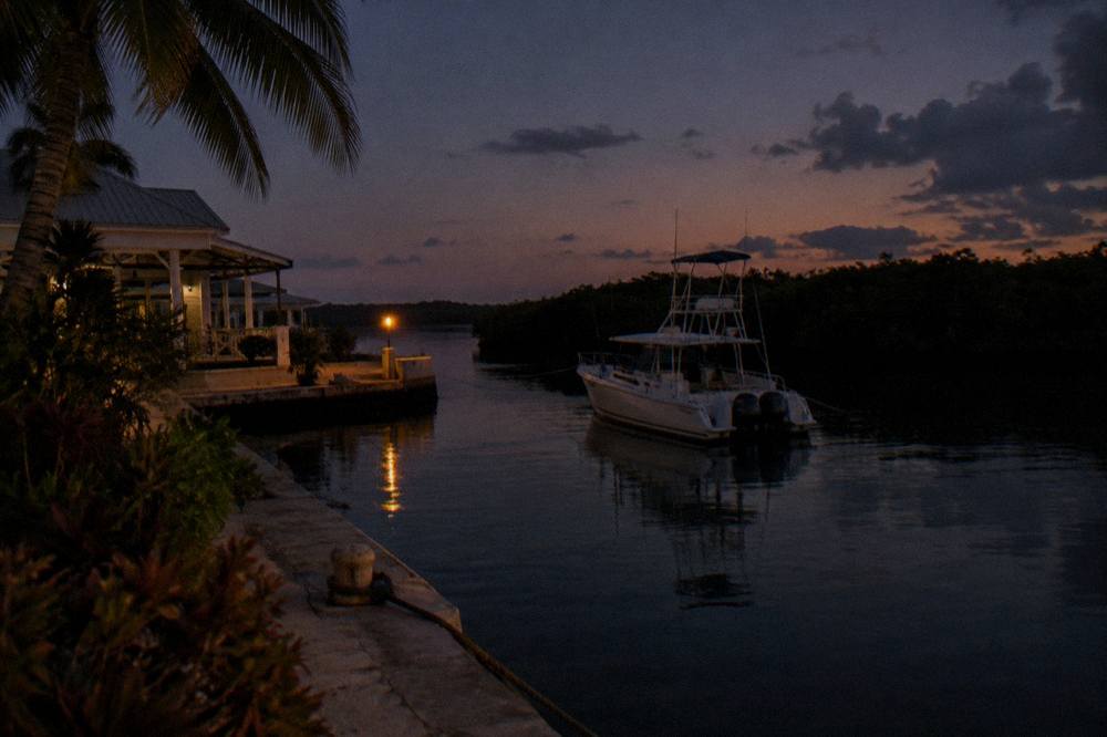 A tour boat anchored on a still lagoon at nightfall with dark water and mangrove silhouettes