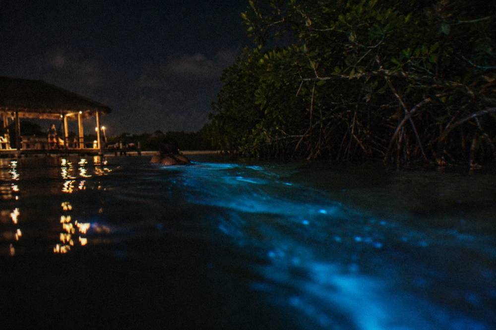 Dark lagoon water at night with faint blue-green light trailing behind a moving hand near the surface
