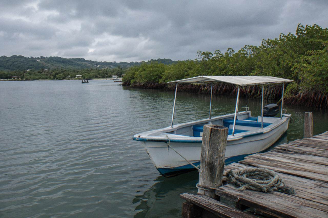 A calm lagoon at dusk with mangroves along the shore and a small tour boat moored at a wooden dock