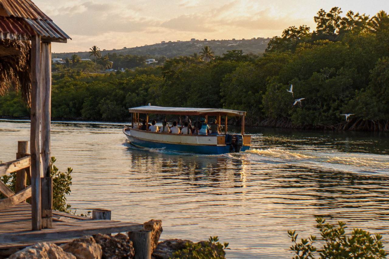 A wooden tour boat crossing a calm lagoon at dusk with dark mangrove shoreline behind it