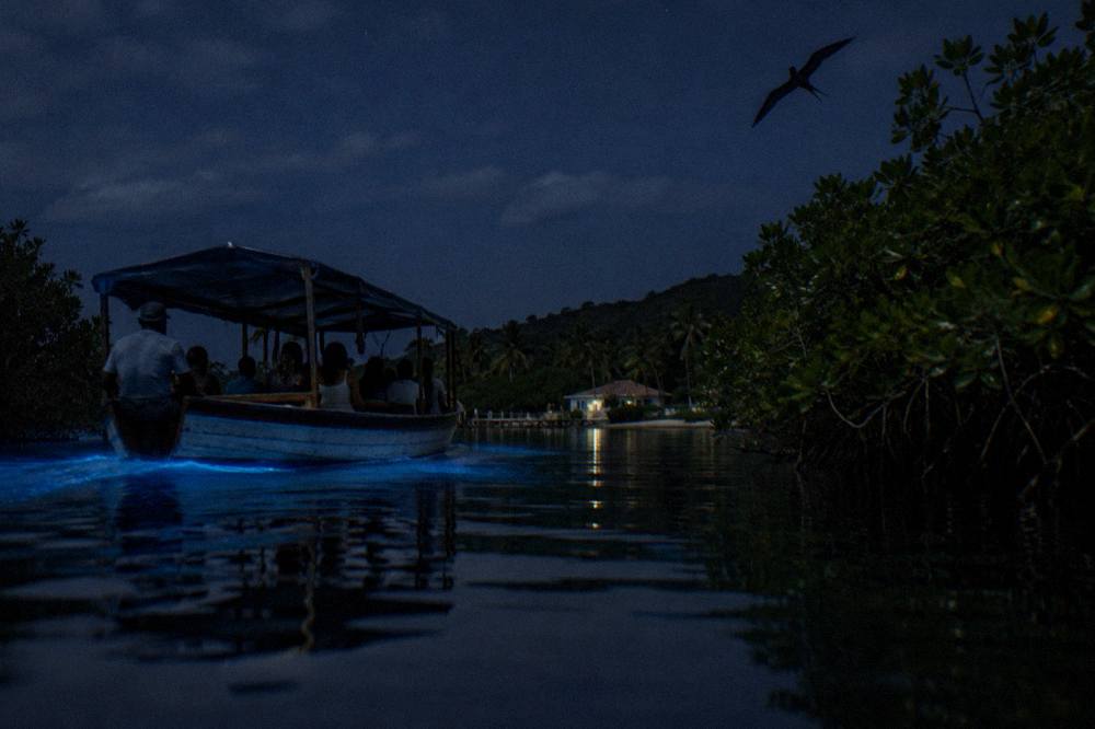 A wooden tour boat crossing dark still water in a tropical lagoon at night with faint blue light trailing behind the hull