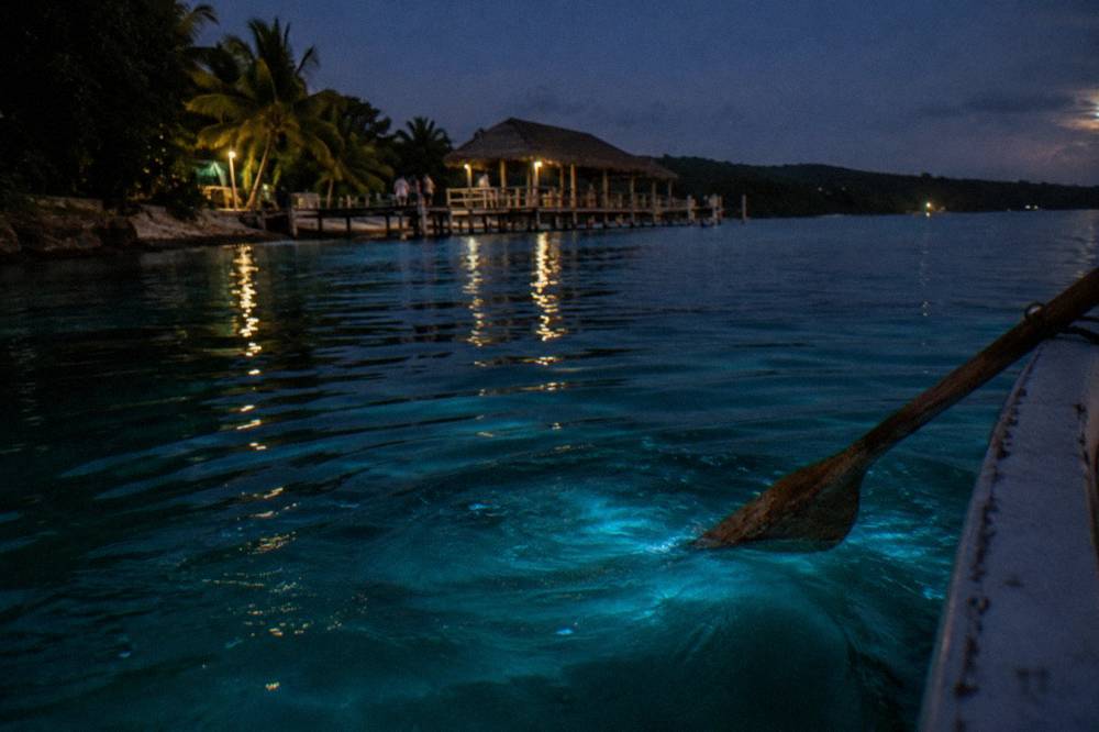 Gentle ripples spreading across a dark lagoon surface with a faint blue glow concentrated around disturbed water