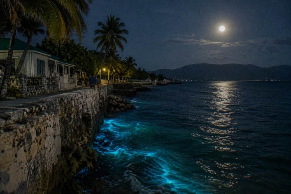 A moonlit tropical shoreline with dark water, distant hills and a faint glow near the water's edge