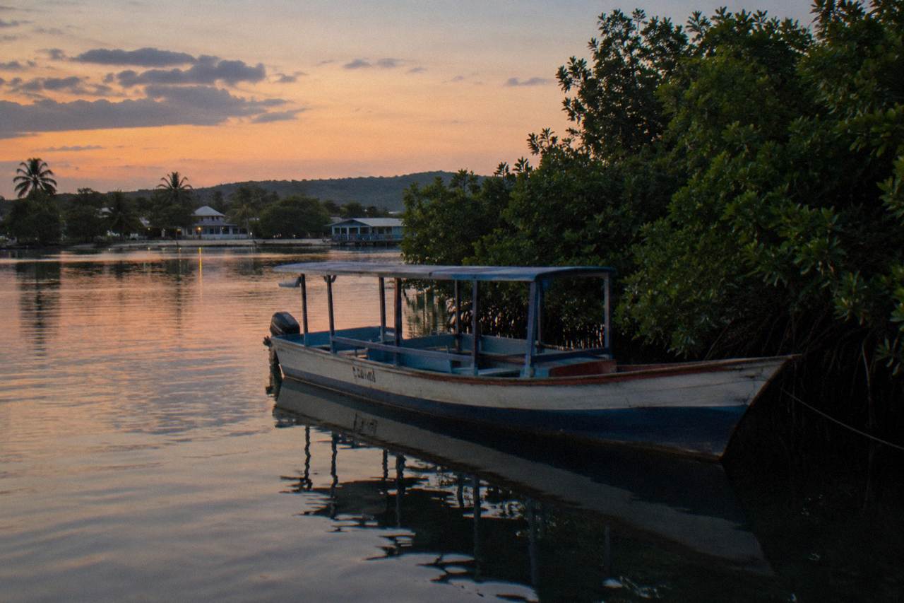 A wooden tour boat resting on calm lagoon water beside a dark mangrove shoreline at dusk