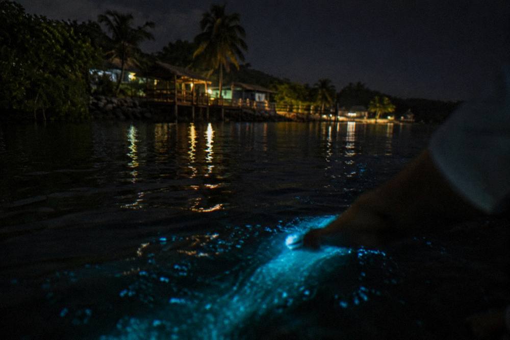 Blue-green glow trailing through dark water behind a moving hand at night