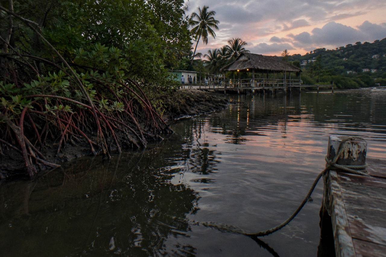 Calm dark lagoon water beside a wooden dock at dusk with mangroves along the shore