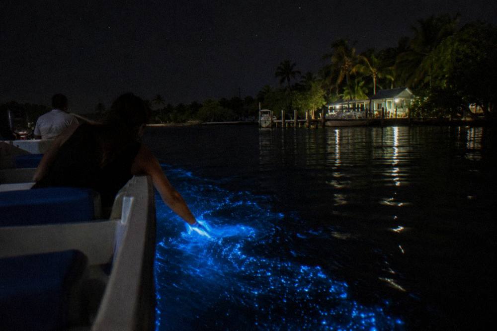A hand reaching over the side of a boat into glowing blue water at night