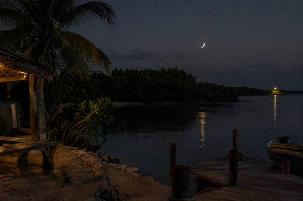 Dark night sky over a still mangrove lagoon with a thin crescent moon low above the horizon