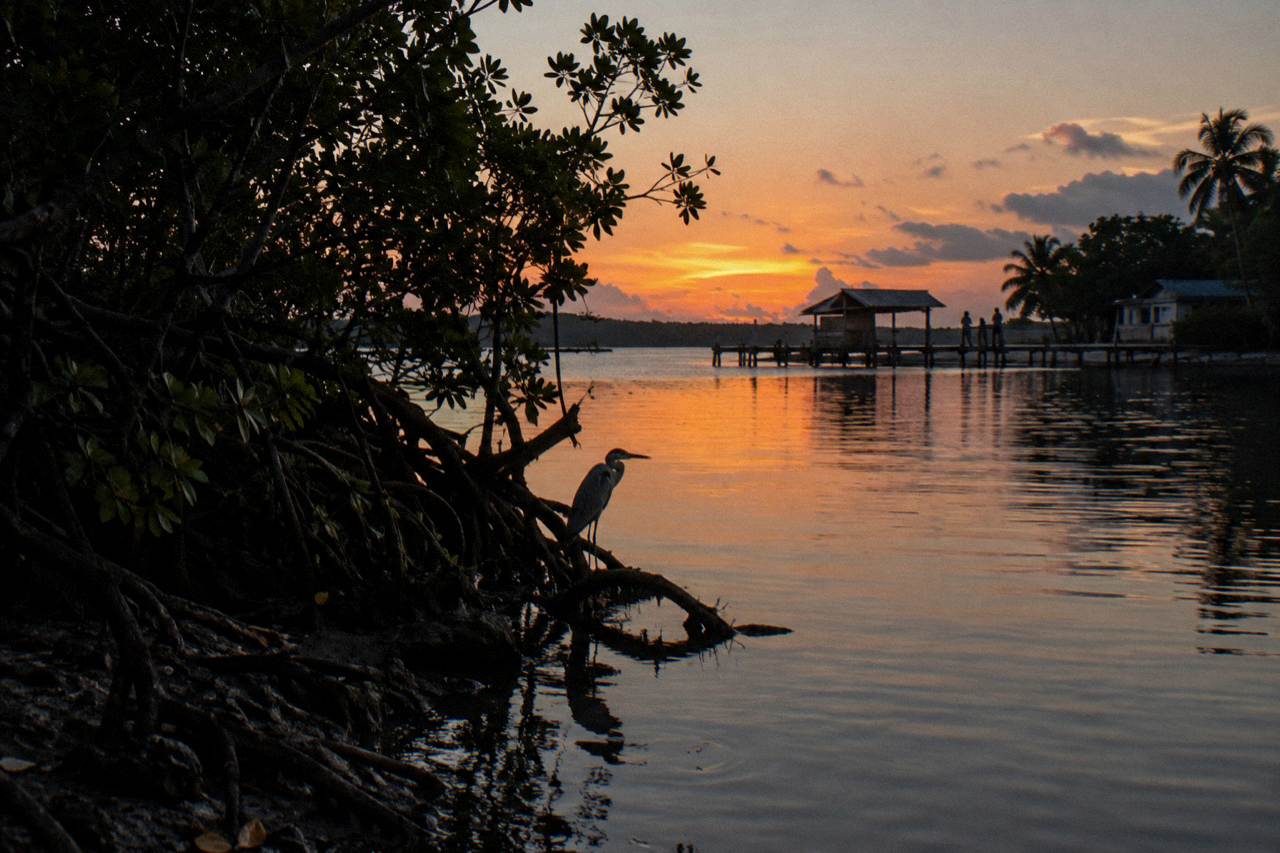 A calm tropical lagoon at dusk with dark water reflecting the last light of an orange sky over mangroves