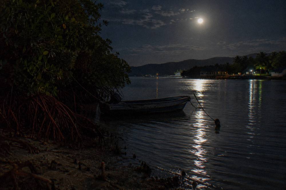 Moonlight over a quiet lagoon with dark water and mangroves along the shore