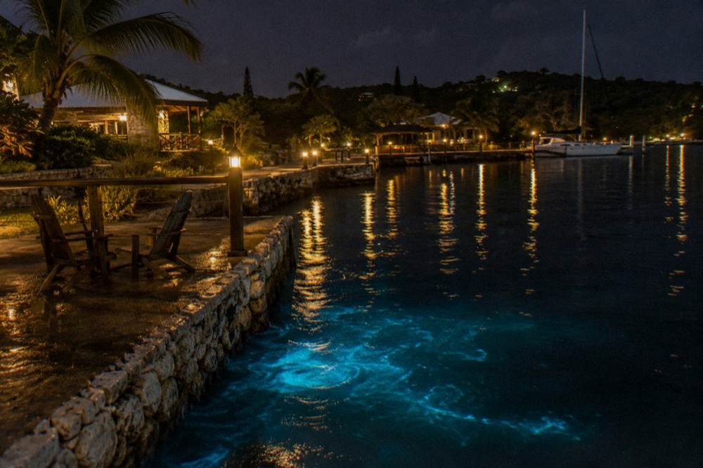 A quiet marina dock at night with warm lamps reflecting on still dark water