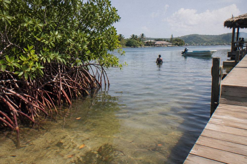 Calm shallow lagoon water beside a wooden marina dock in afternoon light