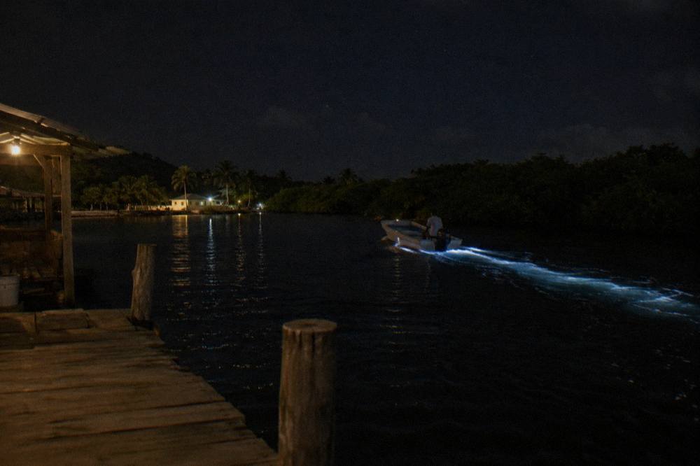 Boat wake trail across dark lagoon water at night