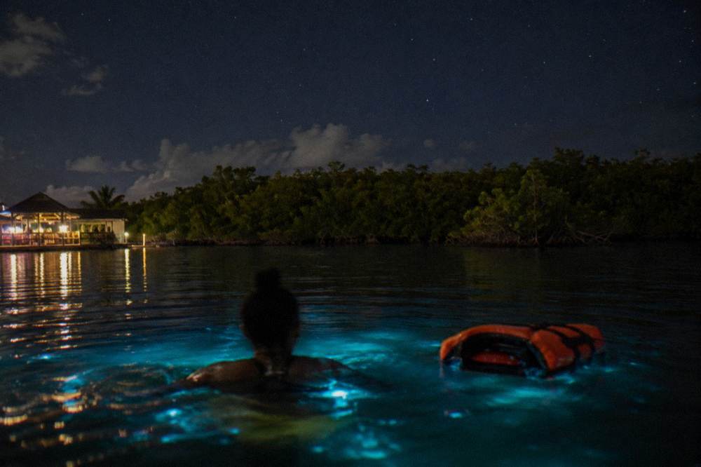 Night water with faint blue-green light around a swimmer
