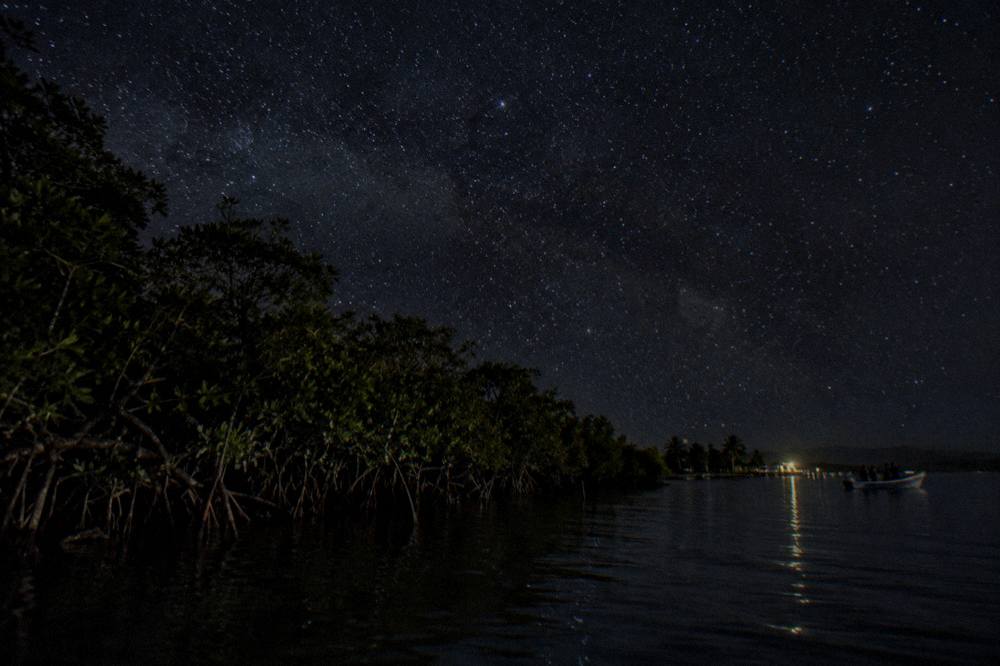 A night sky over calm dark water with a bright band of stars and no moon above the shoreline