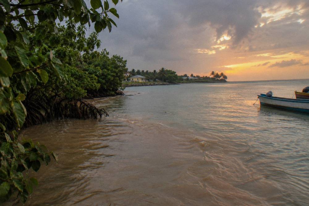 A quiet river mouth at dusk with mangrove trees and still water reflecting an orange sky