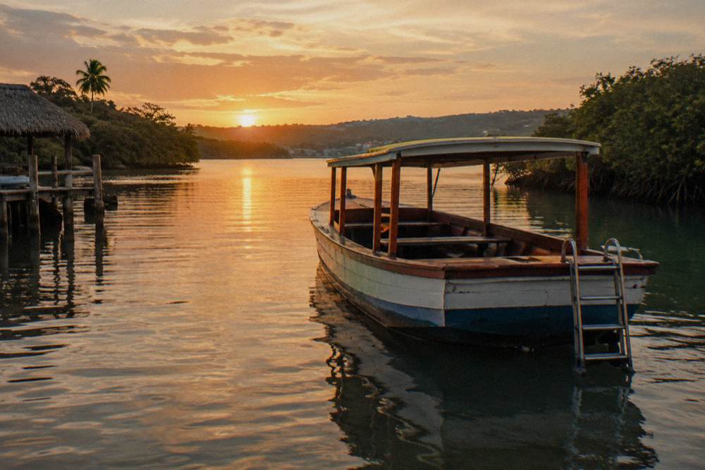 A wooden tour boat on shallow water at dusk with a ladder at the stern and mangroves in the background