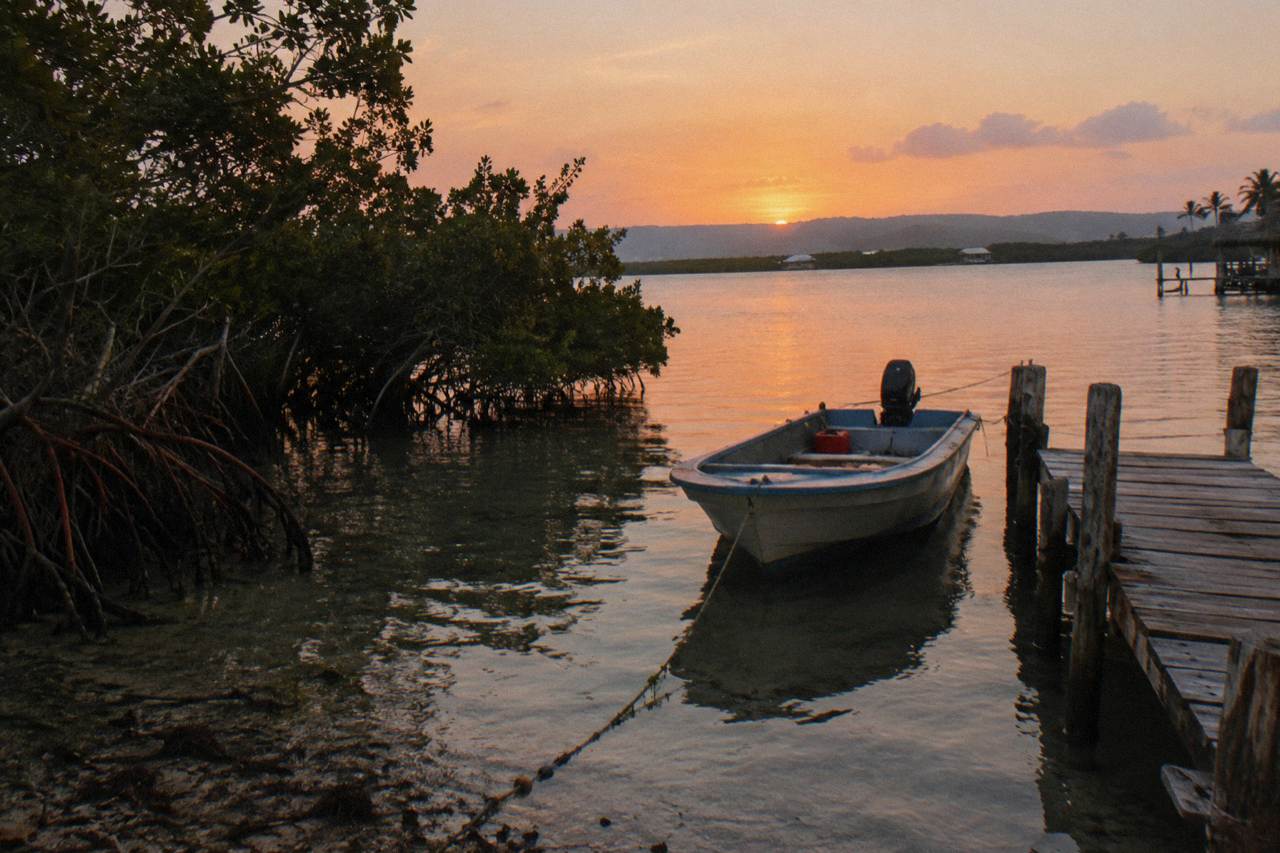 A calm lagoon at dusk with mangroves along the shore and a small boat waiting at a wooden dock