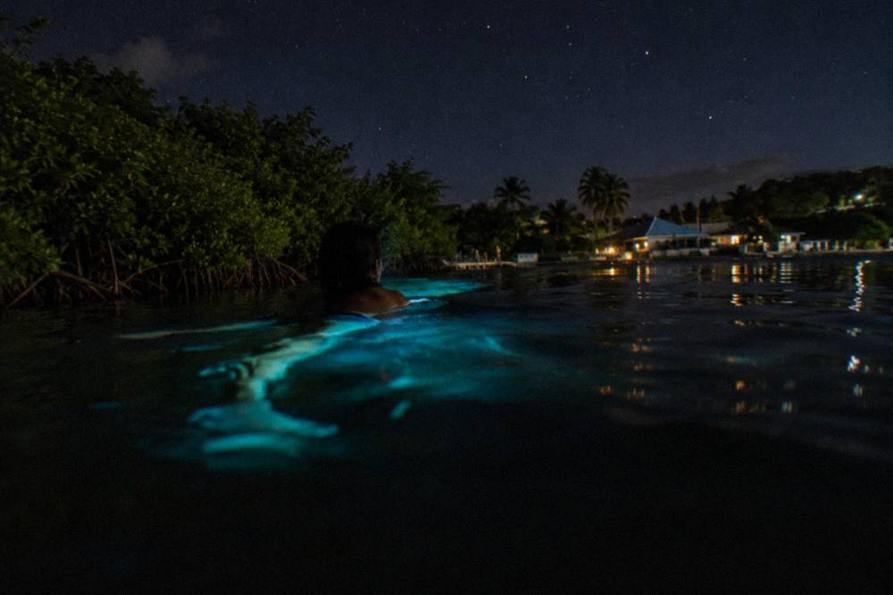 Hand trails of blue light in dark lagoon water