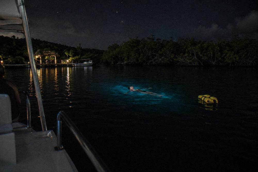 Swimmer in dark water surrounded by a soft blue glow