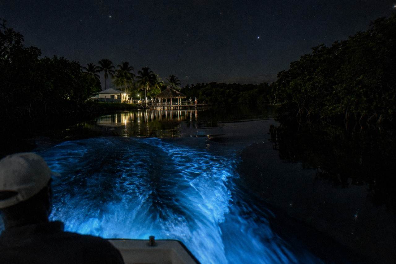 Boat wake glowing pale blue across a dark lagoon at night