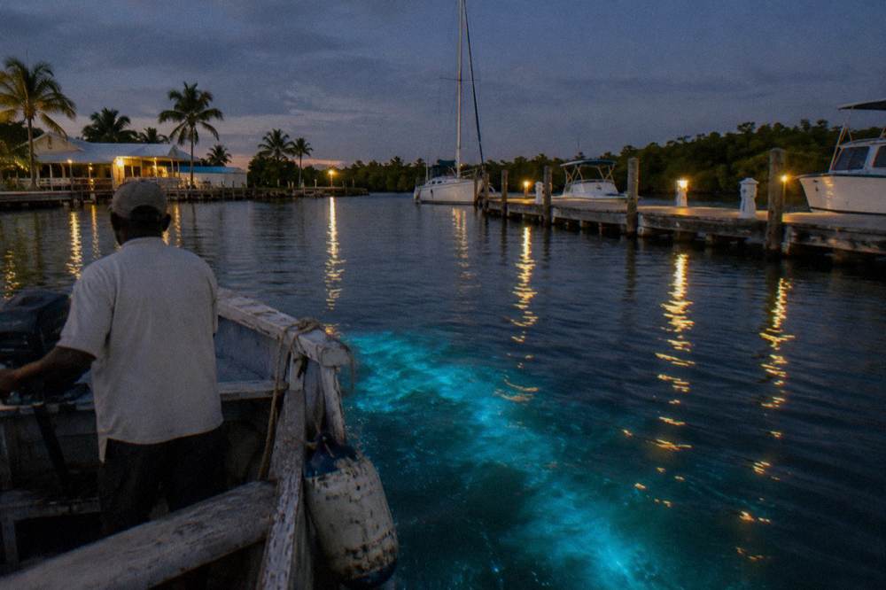 A wooden boat with a guide aboard floating beside a lit marina dock at night