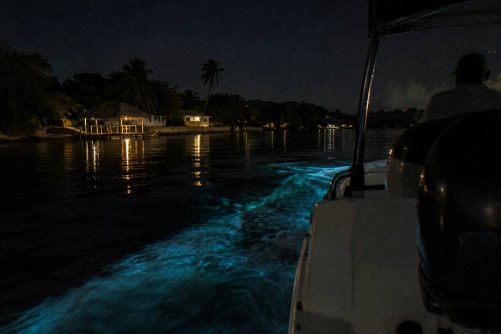A narrow band of blue green light trailing across dark lagoon water behind a boat