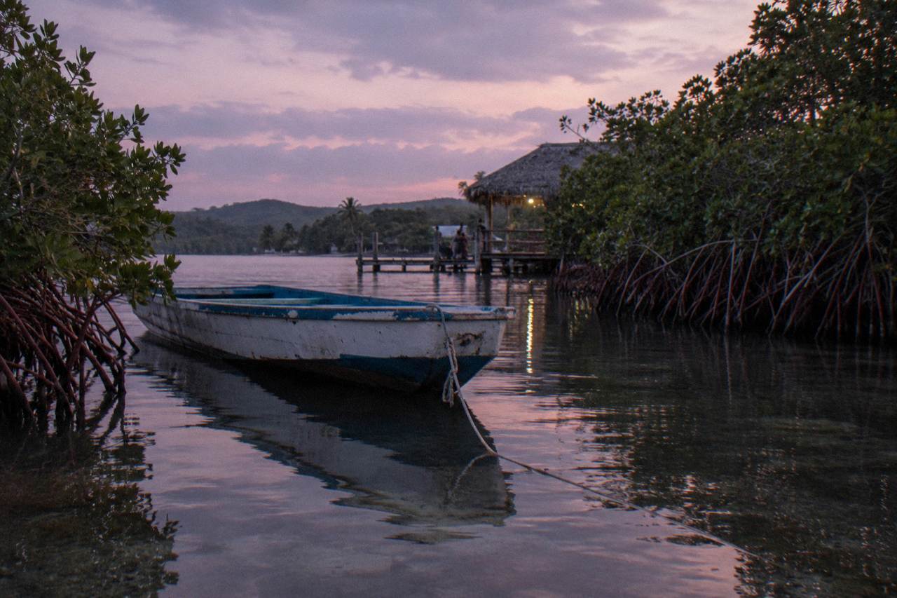 A wooden tour boat resting on calm lagoon water beside mangroves at dusk
