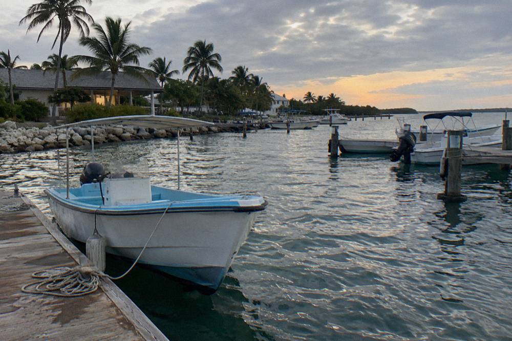 Boats moored at a marina dock on a calm tropical evening