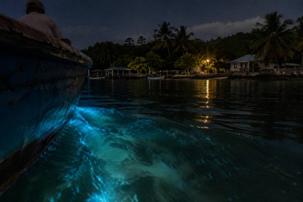 Dark lagoon water glowing pale blue around the hull of a slow moving boat at night