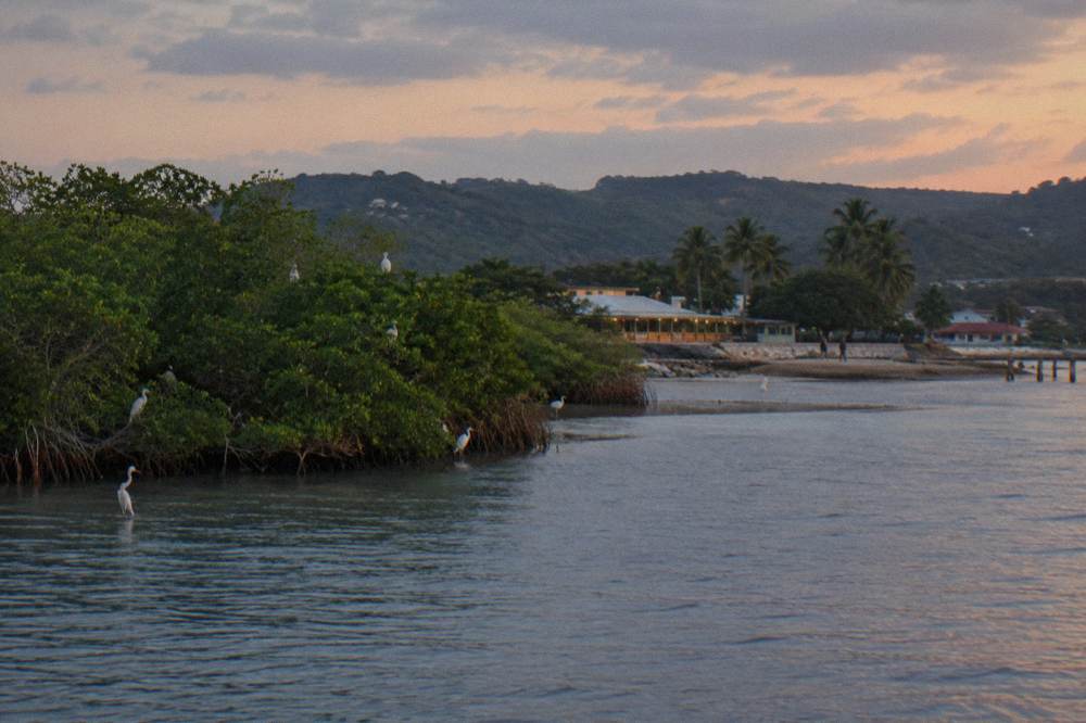 A wide calm estuary at dusk with river water meeting the sea beyond a mangrove shoreline