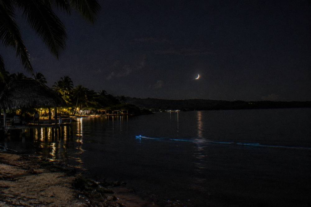 A crescent moon low over dark water with a faint glowing boat wake below