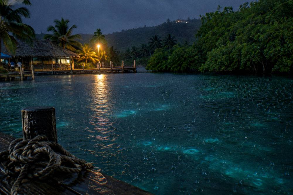 Rain drops striking dark lagoon water lit by small points of pale light
