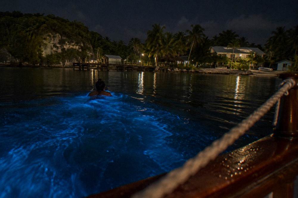 Hands trailing glowing blue light through dark water beside a boat at night