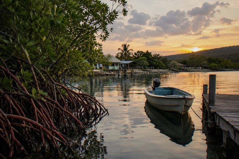 A calm lagoon at dusk with mangroves along the shore and a small boat at a wooden dock