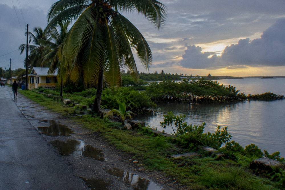 Palm trees along a quiet coastline under a clearing evening sky after rain