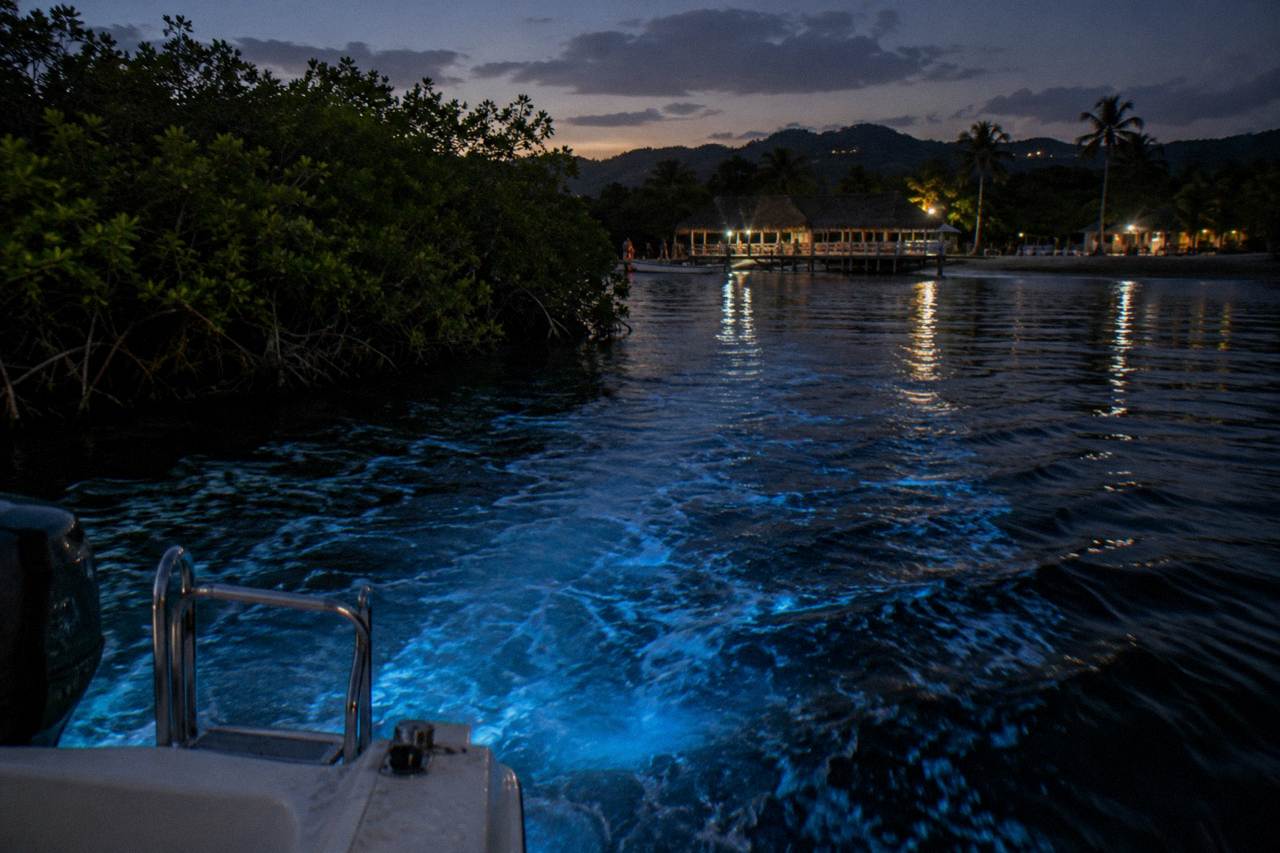 A boat wake glowing pale blue across a dark lagoon near Falmouth at night