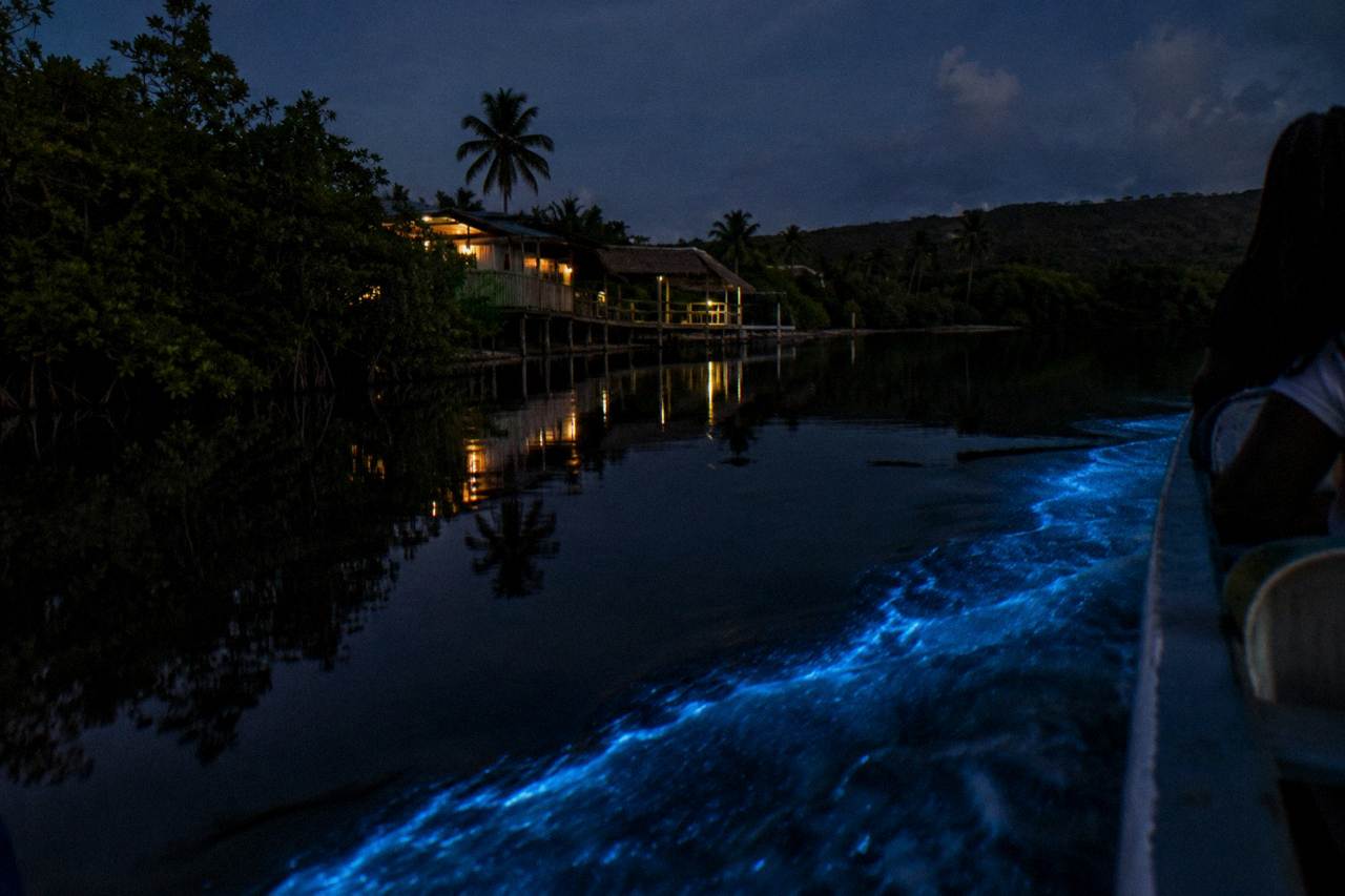 Bioluminescent blue glow trailing behind a boat on a calm lagoon at night