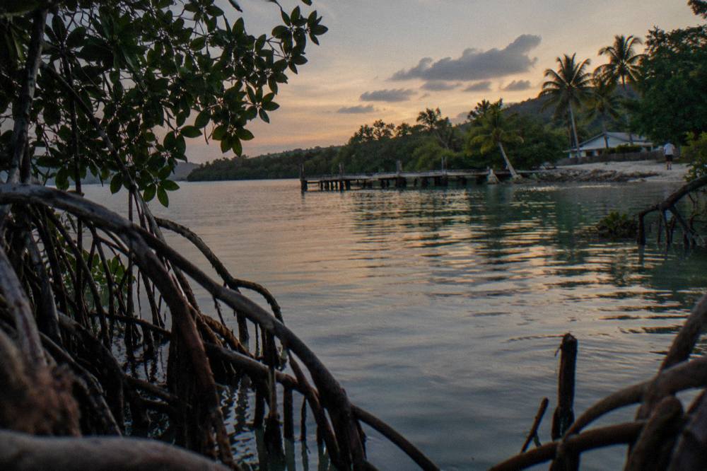 A calm lagoon at dusk with mangroves along the shore and a small dock in the distance
