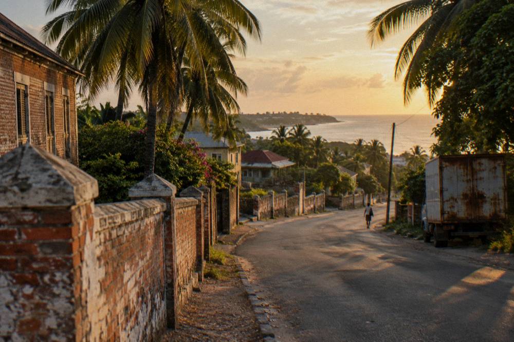 A coastal road curving past palm trees toward a small town at golden hour