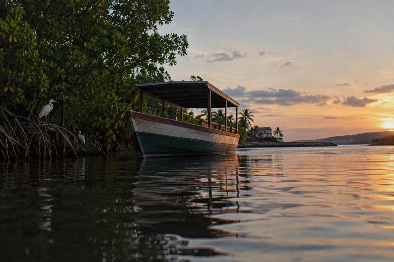 A wooden tour boat resting on calm brackish water beside a mangrove shoreline at dusk