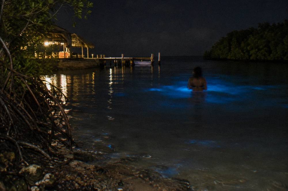 Calm shallow lagoon water at night reflecting faint blue light