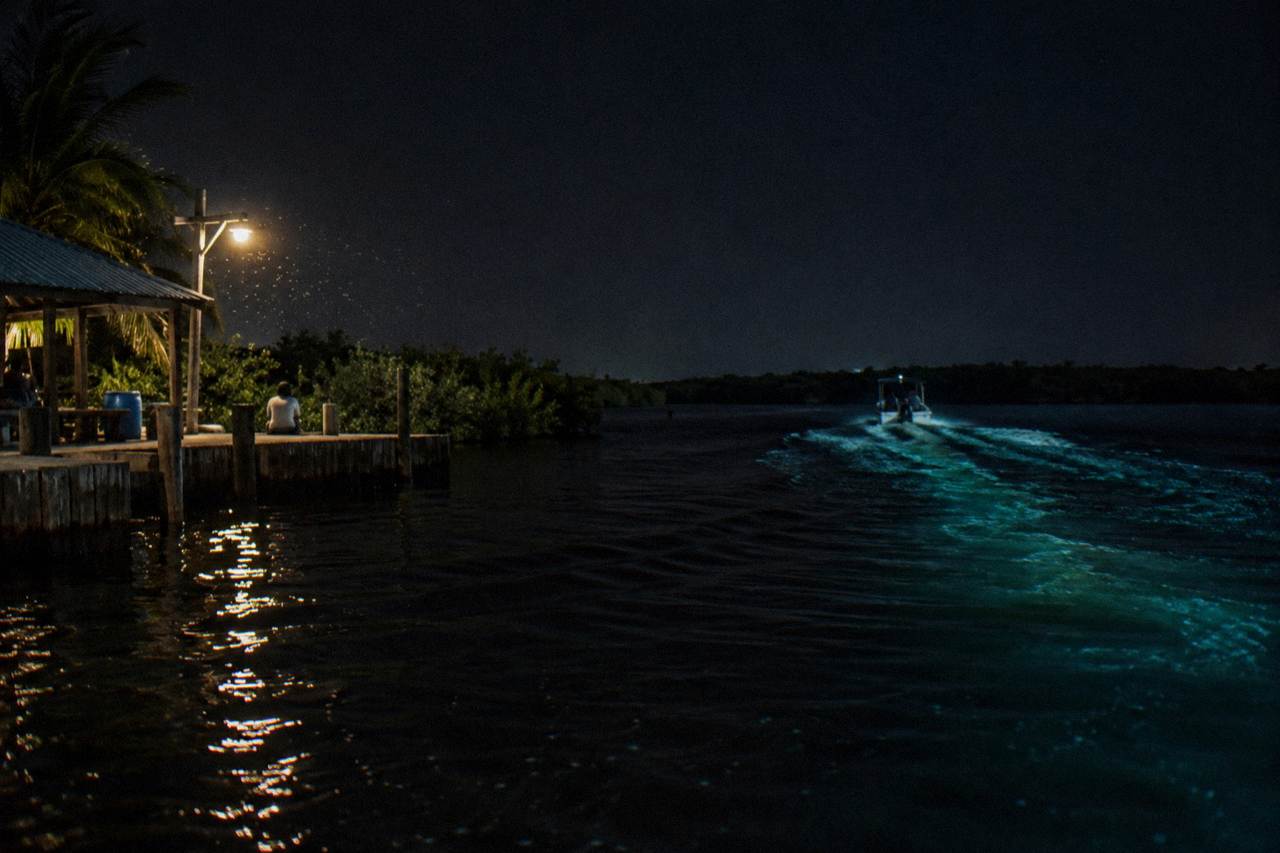 Boat wake glowing blue-green across a dark lagoon at night