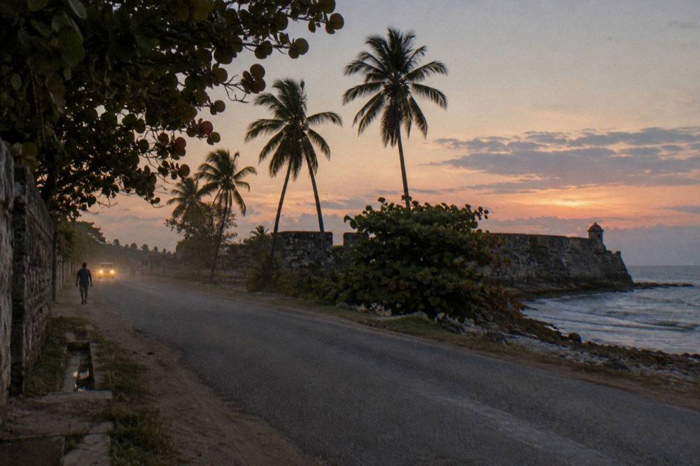 Headlights of a van on a quiet coastal road at dusk with palm trees alongside