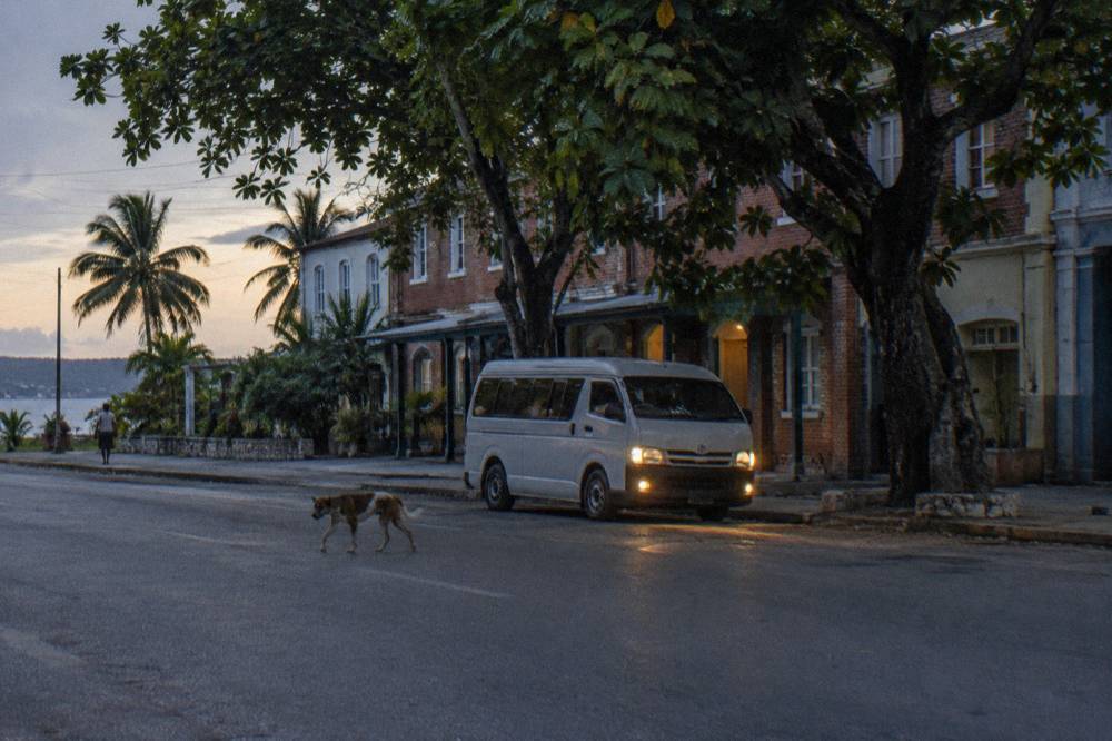 A small minivan parked on a roadside at dusk with headlights on near palm trees