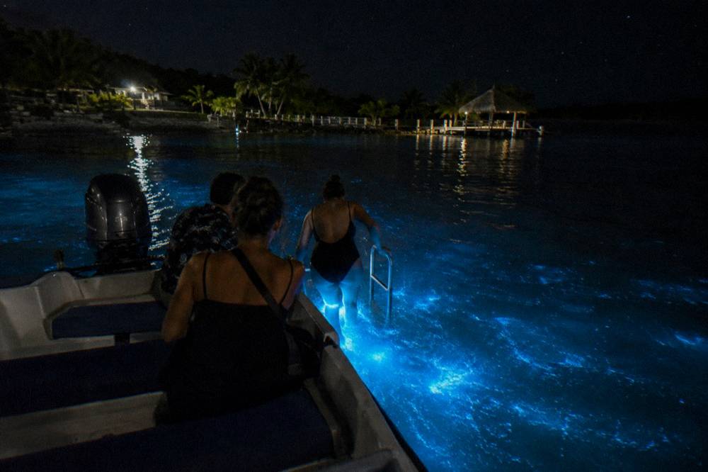 Guests stepping from a motorboat into glowing blue water at night