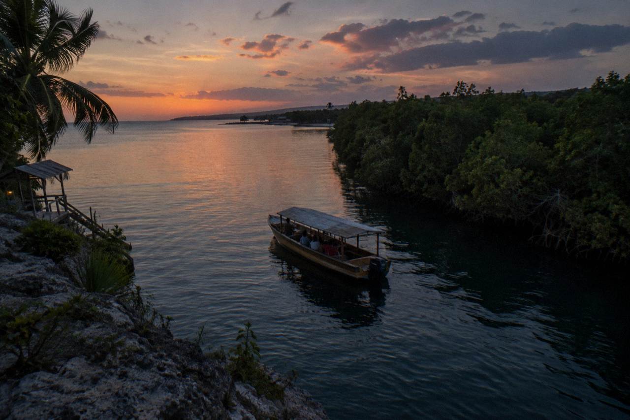 A wooden tour boat resting on calm lagoon water beside a dark mangrove shoreline at dusk