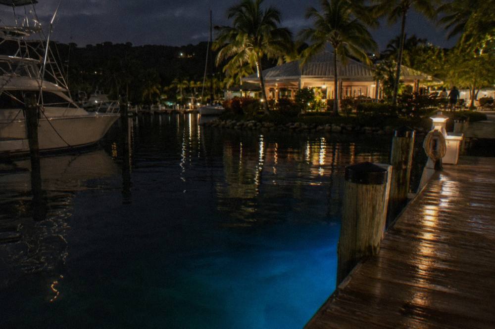 Dark calm lagoon water reflecting a faint blue glow near a wooden dock
