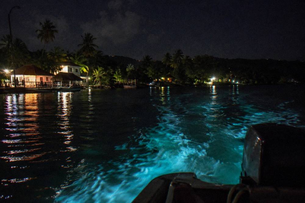 A flat-bottom boat crossing dark lagoon water with a faint glowing wake at night