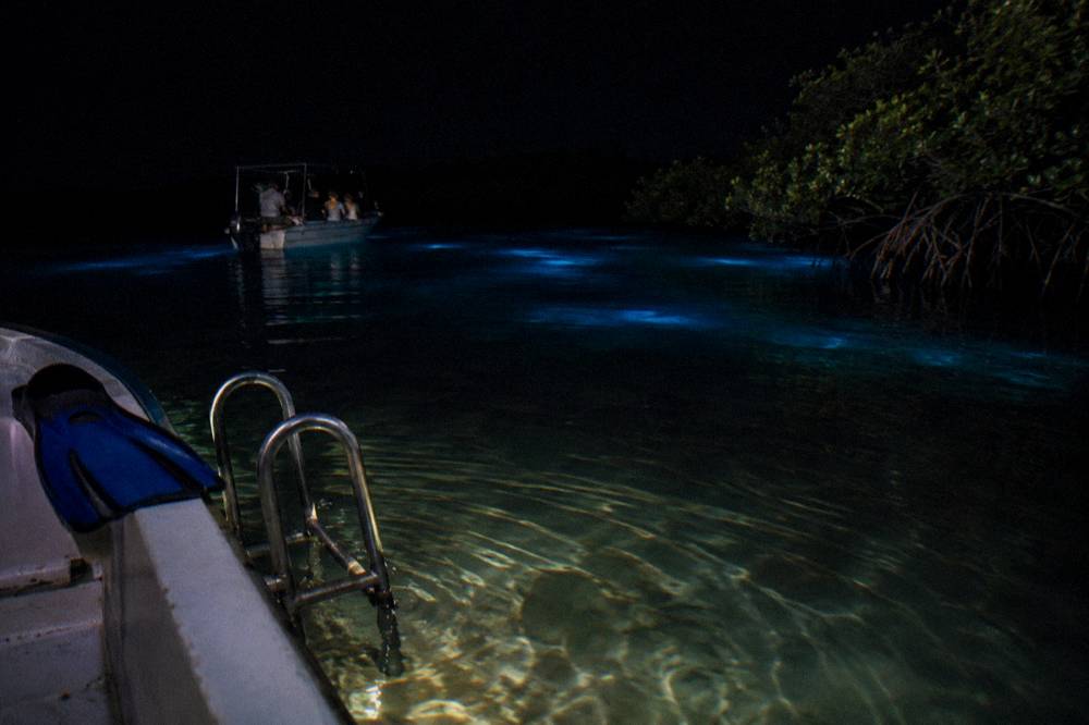 Calm shallow lagoon water at night with soft ripples around a boat ladder